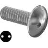Tamper-Resistant Drilled Spanner Stainless Steel Truss Head Screws