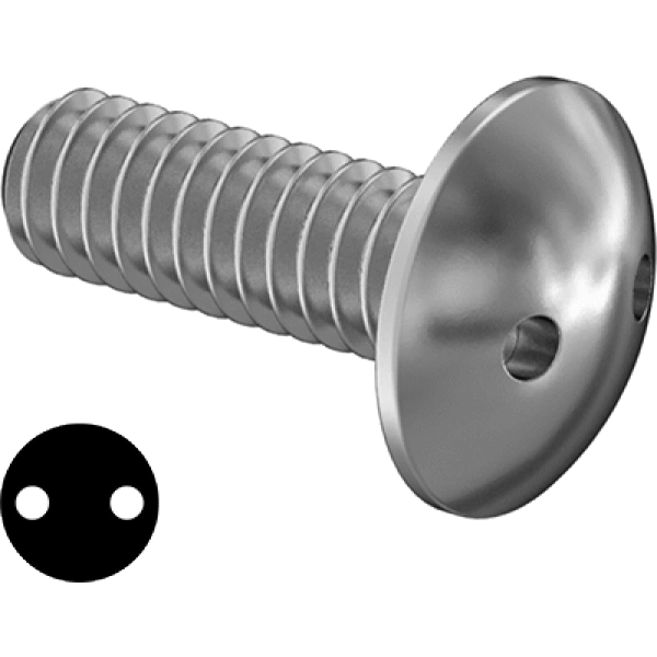 0212FA00001 Tamper-Resistant Drilled Spanner Stainless Steel Truss Head Screws