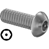 Tamper-Resistant Hex-Drive Stainless Steel Button Head Screws