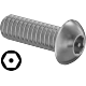 0213FA00024 Tamper-Resistant Hex-Drive Stainless Steel Button Head Screws