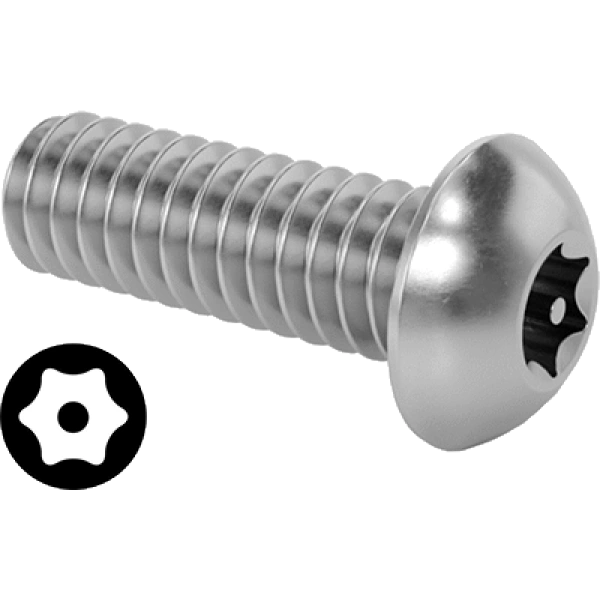 0204FA00003 Tamper-Resistant Torx Stainless Steel Button Head Screws