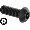 Tamper-Resistant Torx Steel Button Head Screws