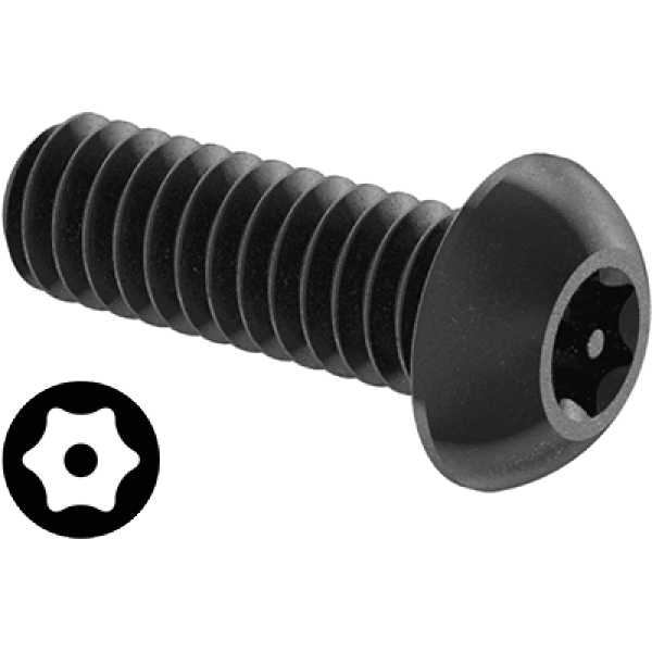 0209FA00001 Tamper-Resistant Torx Steel Button Head Screws