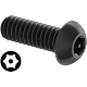 0209FA00001 Tamper-Resistant Torx Steel Button Head Screws
