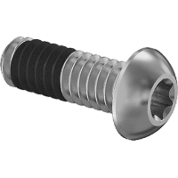 Thread-Locking Stainless Steel Button Head Torx Screws