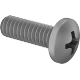 0105FA00002 Titanium Pan Head Phillips Screws