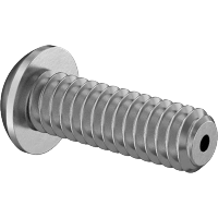 0224FA00001 Venting Stainless Steel Button Head Hex-Drive Screws