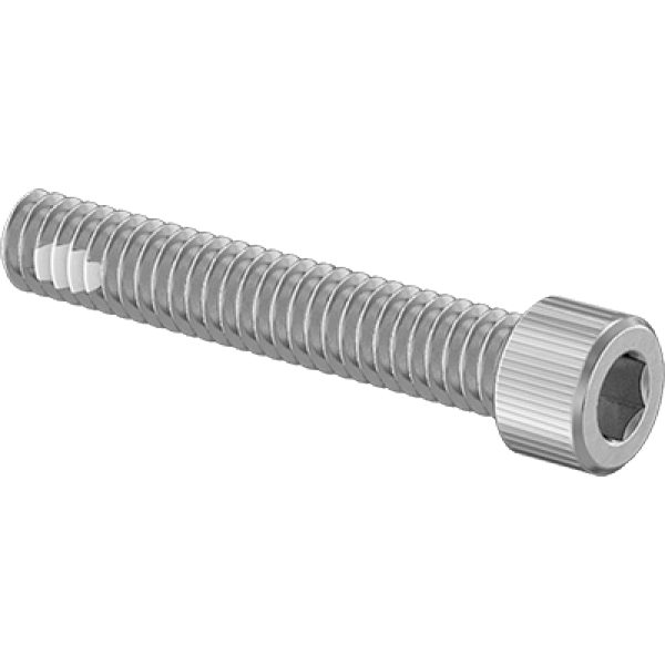 0036FA00002 18-8 Stainless Steel Thread-Locking Socket Head Screws