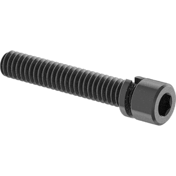 0042FA00002 Alloy Steel Socket Head Screws with Split Lock Washer