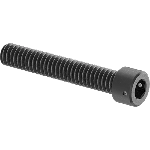 0040FA00001 Alloy Steel Wire-Lockable Socket Head Screws