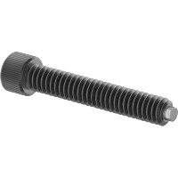 0049FA00001 Brass-Tip Alloy Steel Socket Head Screws