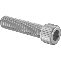0016FA00003 Cleaned and Bagged 18-8 Stainless Steel Socket Head Screws for High Vacuum