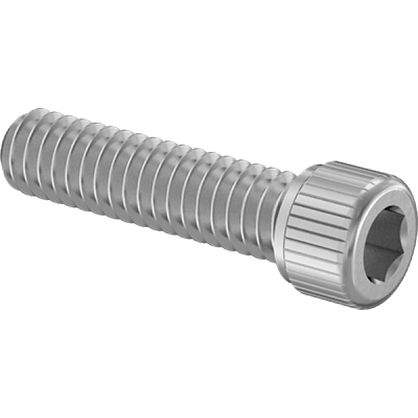 0016FA00002 Cleaned and Bagged 18-8 Stainless Steel Socket Head Screws for High Vacuum