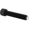 Nylon-Tip Alloy Steel Socket Head Screws