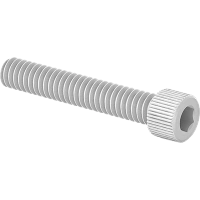 0021FA00325 Plastic Socket Head Screws