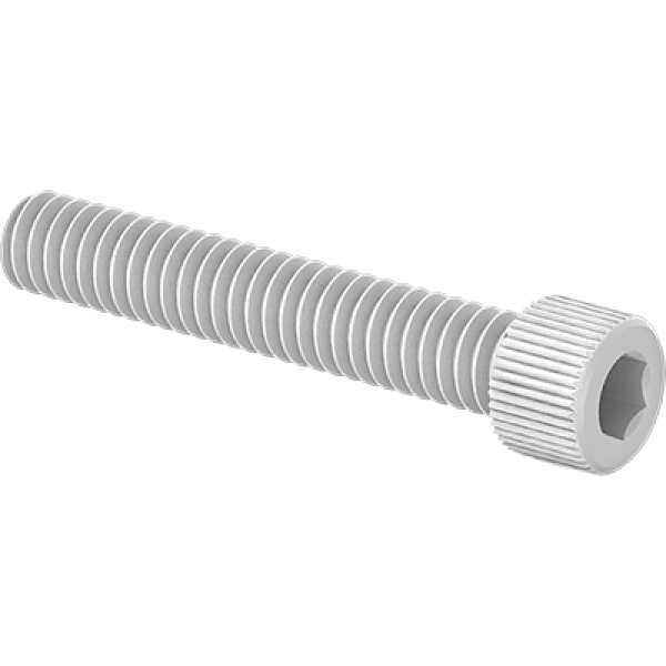 0021FA00324 Plastic Socket Head Screws