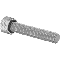 0043FA00161 Sealing Socket Head Screws