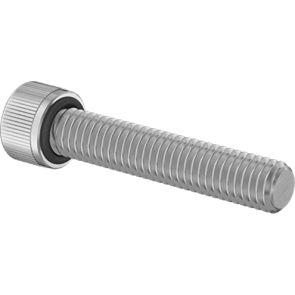 0043FA00161 Sealing Socket Head Screws