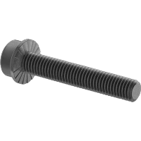 0035FA00001 Serrated-Flange Socket Head Screws