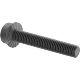 0035FA00001 Serrated-Flange Socket Head Screws