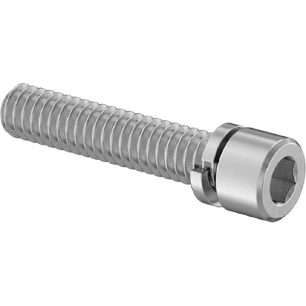 0041FA00002 Stainless Steel Socket Head Screws with Split Lock Washer