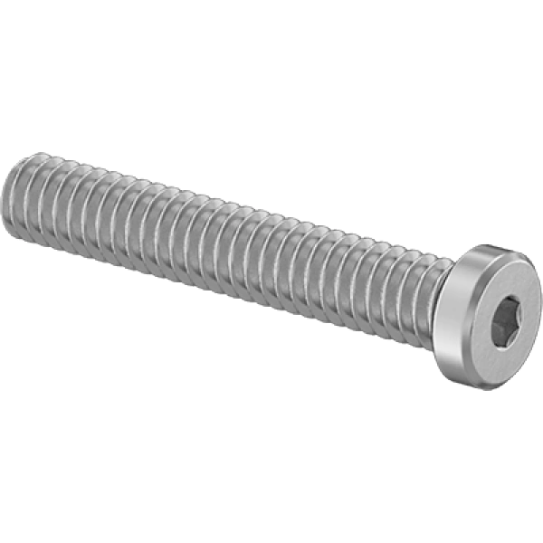 0029FA00030 Super-Corrosion-Resistant 316 Stainless Steel Low-Profile Socket Head Screws