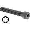 Torx Alloy Steel Socket Head Screws