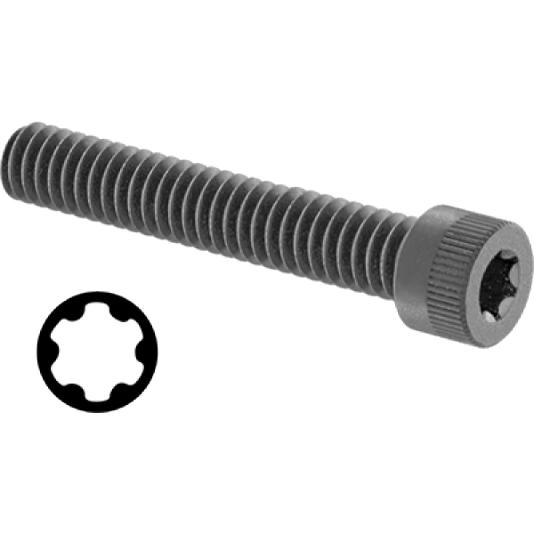 0011FA00012 Torx Alloy Steel Socket Head Screws