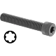 0011FA00012 Torx Alloy Steel Socket Head Screws