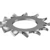External-Tooth Lock Washers